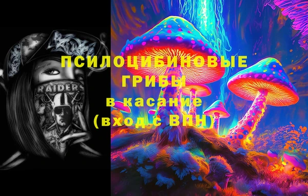 apvp Армянск